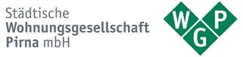 20. WGP-Citylauf Pirna - Im Fackelschein durch die Nacht 20. WGP-Citylauf Pirna - Im Fackelschein durch die Nacht